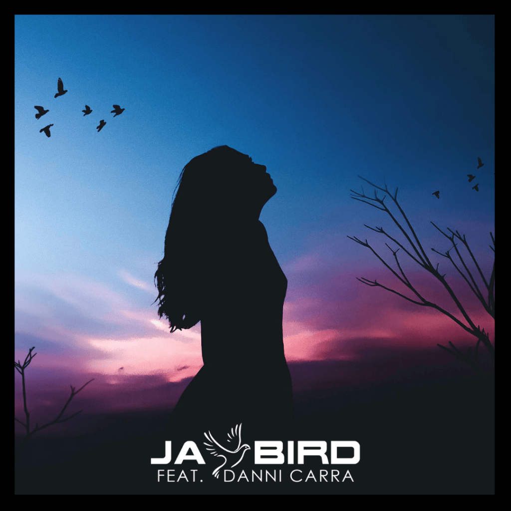 Jay Bird feat Danni Carra - Let You Down